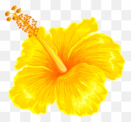 Yellow Hawaiian Flower Clipart Emoji,Hibiscus Emoji