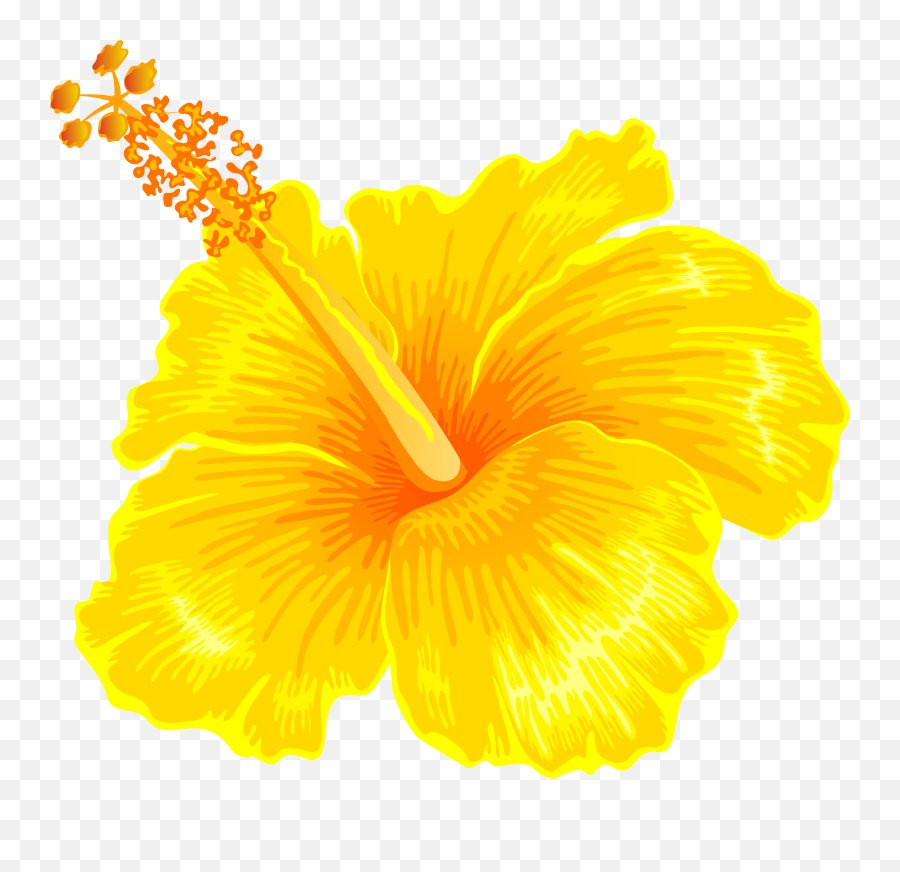 Yellow Hawaiian Flower Clipart Emoji,Hibiscus Emoji