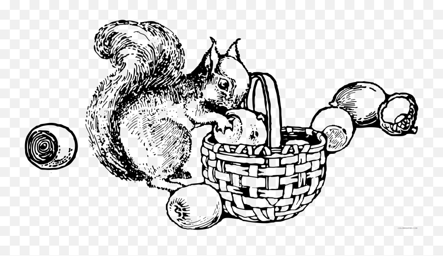 Black And White Squirrel Coloring Pages - Squirrel With Nuts Clipart Black And White Emoji,Squirrel Emoji
