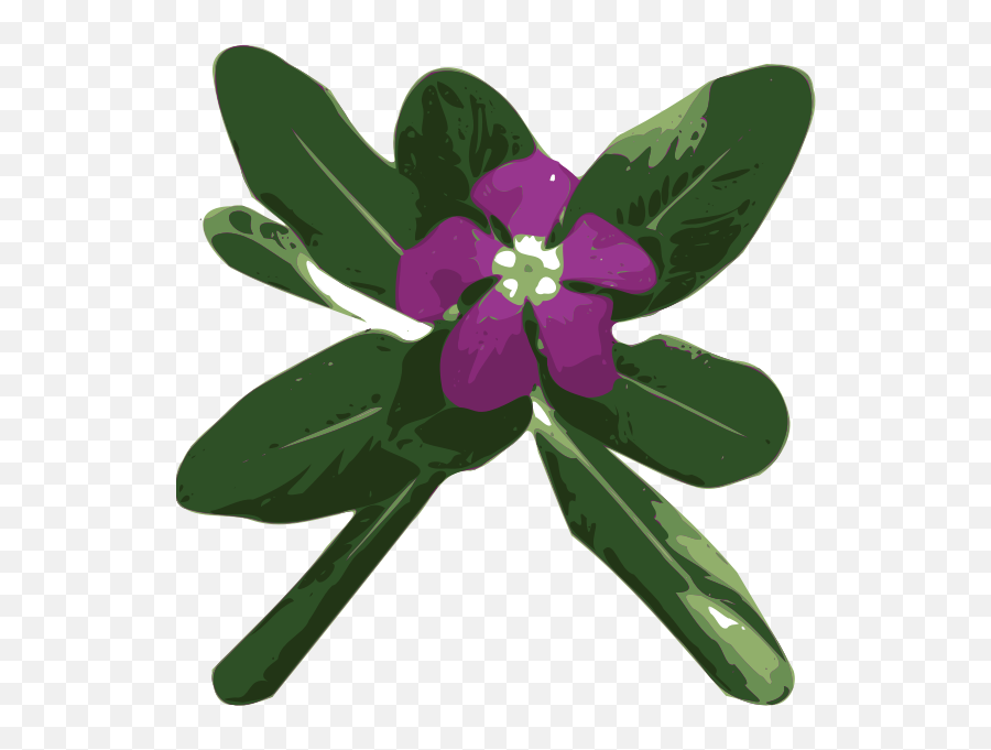 Vinca - Periwinkle Transparent Flower Emoji,St Patricks Day Emoji