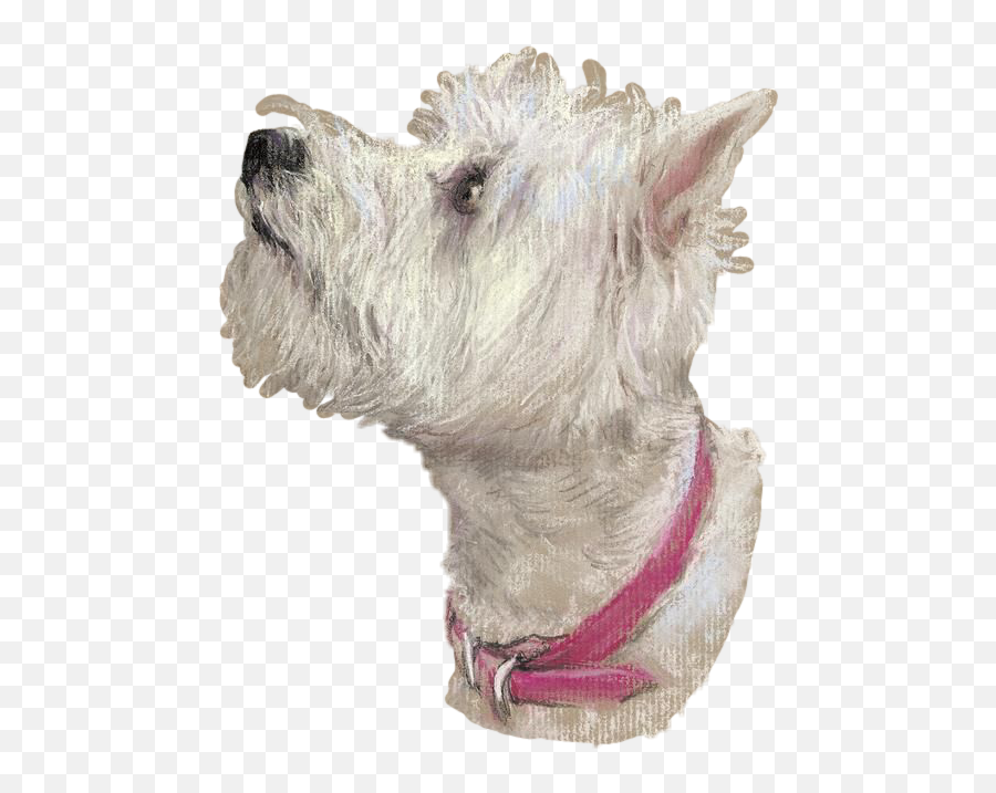 Westie - Westie Profile Emoji,Scottish Terrier Emoji