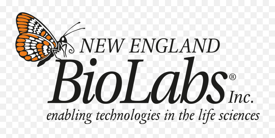 Teamnottinghamtesthuman Practicesemoji Report - 2018 New England Biolabs Logo Png,Hornet Emoji