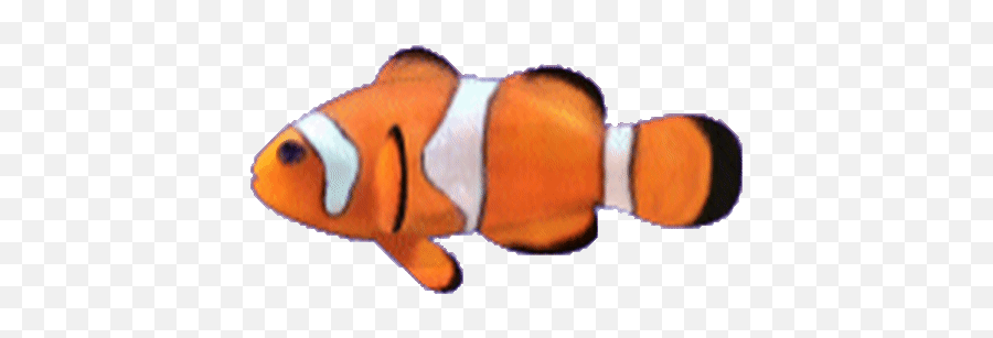 Top Fish Bj Stickers For Android U0026 Ios Gfycat - Fish Gif Animation Transparent Emoji,Fish Emoji Transparent
