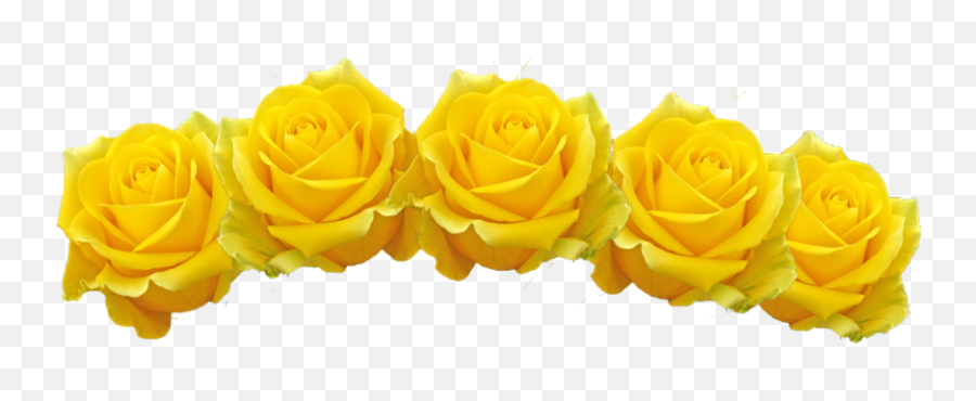 Rose Flower Png - Yellow Flower Crown Png Emoji,Garden Hoe Emoji
