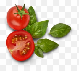 Tomatoes Free Png Transparent Tomato Png Clipart Free - Tomato And Basil Png Emoji,Tomato Emoji