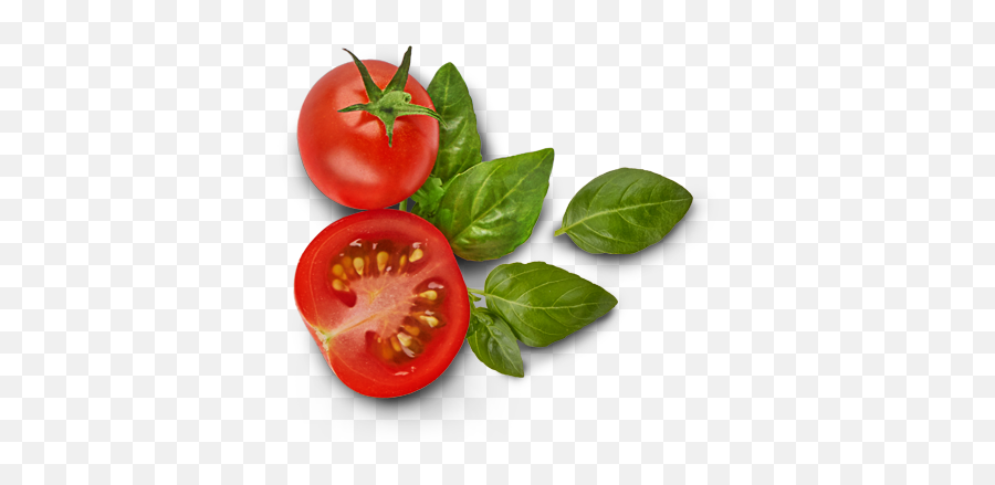 Tomatoes Free Png Transparent Tomato Png Clipart Free - Tomato And Basil Png Emoji,Tomato Emoji