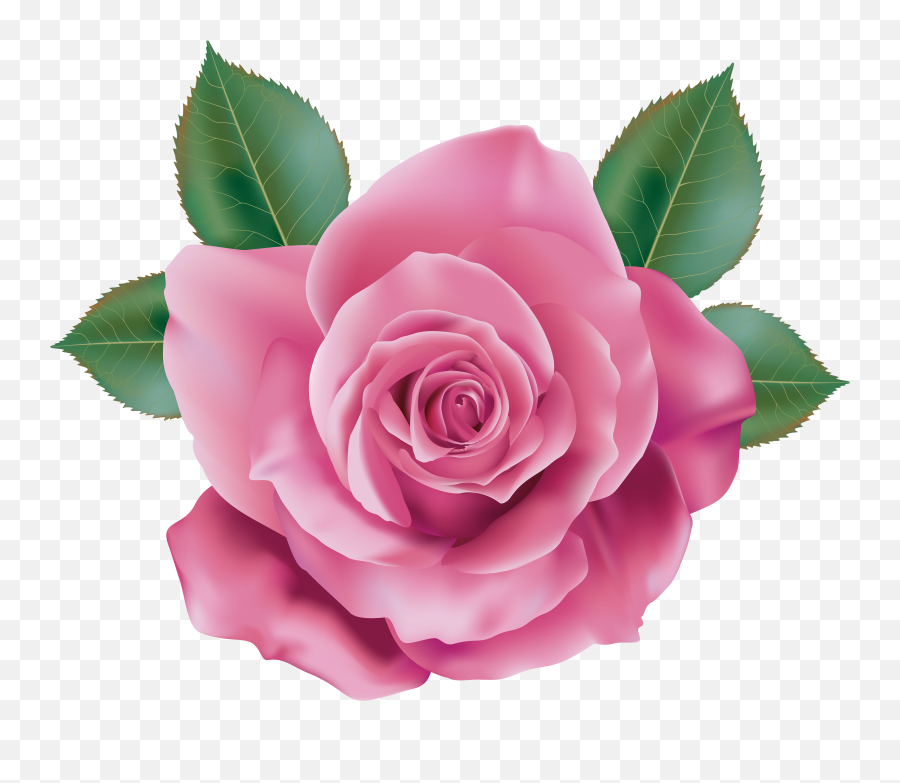 Pink Rose Clipart Transparent Background - Pink Rose Transparent Emoji,Pink Flower Emoji