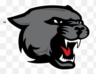Drawing Panther Color Transparent Png Clipart Free - Animal Black Panther Drawing Emoji,Black Panther Emoji
