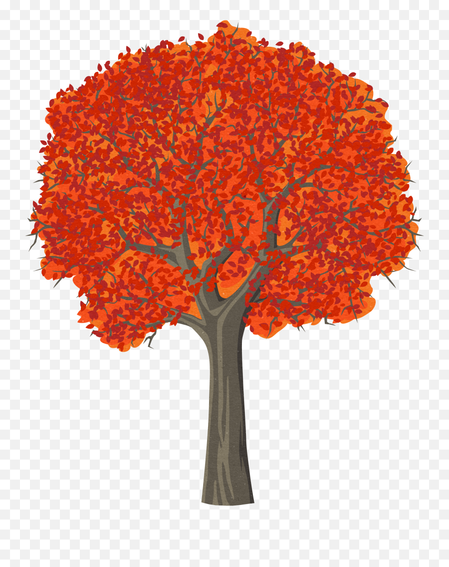 422 Best Trees Leaves Bushes Images In 2020 Clip Art - Maple Tree Drawing Transparent Emoji,Evergreen Tree Emoji