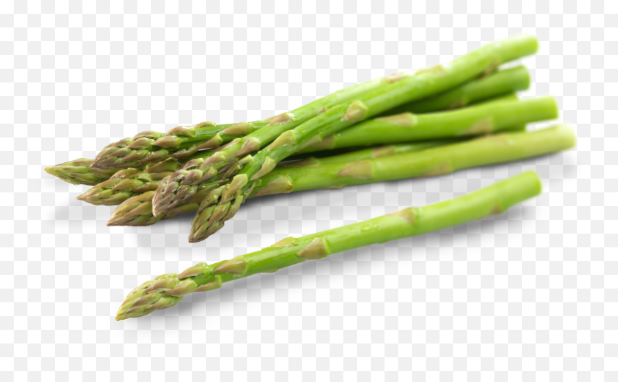 The Timid Ticklers - Asparagus Png Transparent Cartoon Asparagus Png Emoji,Asparagus Emoji