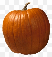 Pumpkin Png Image - Pumpkin High Res Png Emoji,Pumpkin Pie Emoji