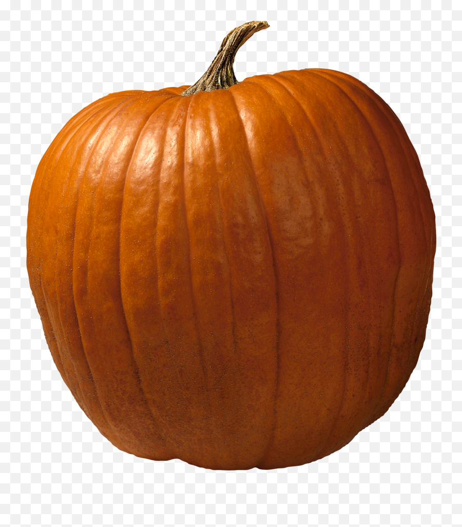 Pumpkin Png Image - Pumpkin High Res Png Emoji,Pumpkin Pie Emoji