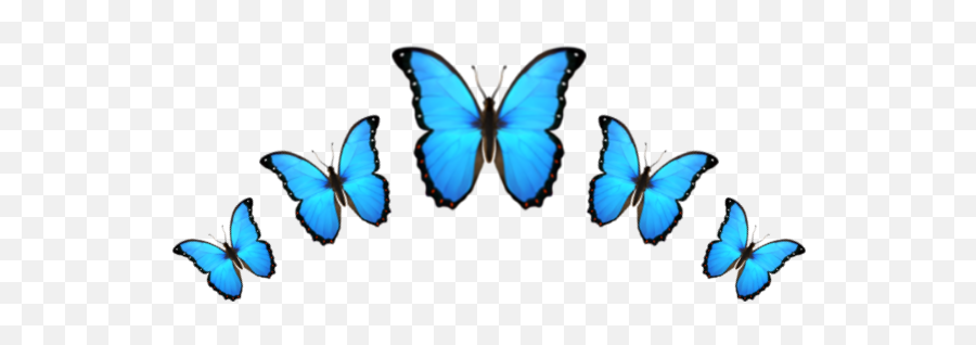 Emoji Crown Corona Butterfly Mariposa Follow 3k Emojist - Blue Butterfly Emoji Png,Butterfly Emoji
