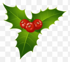 Mistletoe Gold Transparent Png Clipart Free Download - Transparent Mistletoe Clipart Emoji,Mistletoe Emoji
