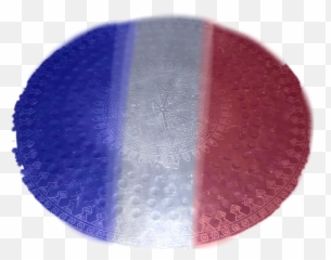 viltsumari france flag plate - Circle Emoji