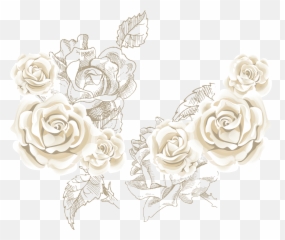Rose Roses Vector Sea White Beach - Png Emoji