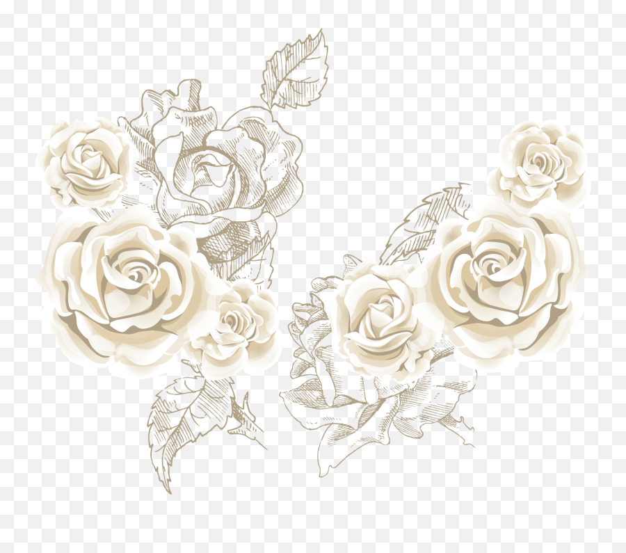 Rose Roses Vector Sea White Beach - White Rose Vector Png Emoji,Roses Emoticon