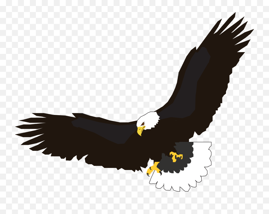 Download - Freeeaglepngtransparentimagestransparent Bald Eagle Clipart Flying Emoji,Scared Emoji Transparent Background