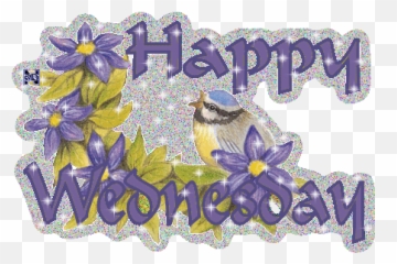 Funny Happy Wednesday Hump Day - Gif Hd Emoji