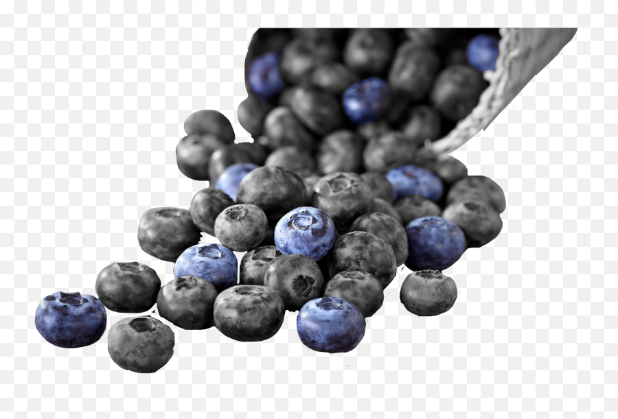 Blueberries - Sticker By Emmawillard Cand Se Fac Afinele Emoji,Is There A Blueberry Emoji