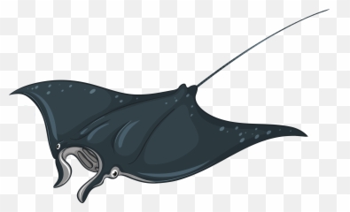 Download Skate Fish Png Clipart - Stingray Clipart Full Manta Ray Illustration Emoji,Fish Emoji Transparent