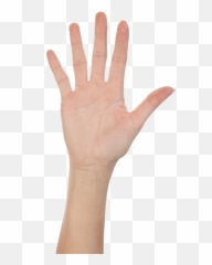 Five Finger Hand PNG Image hands fingers - High Png Emoji