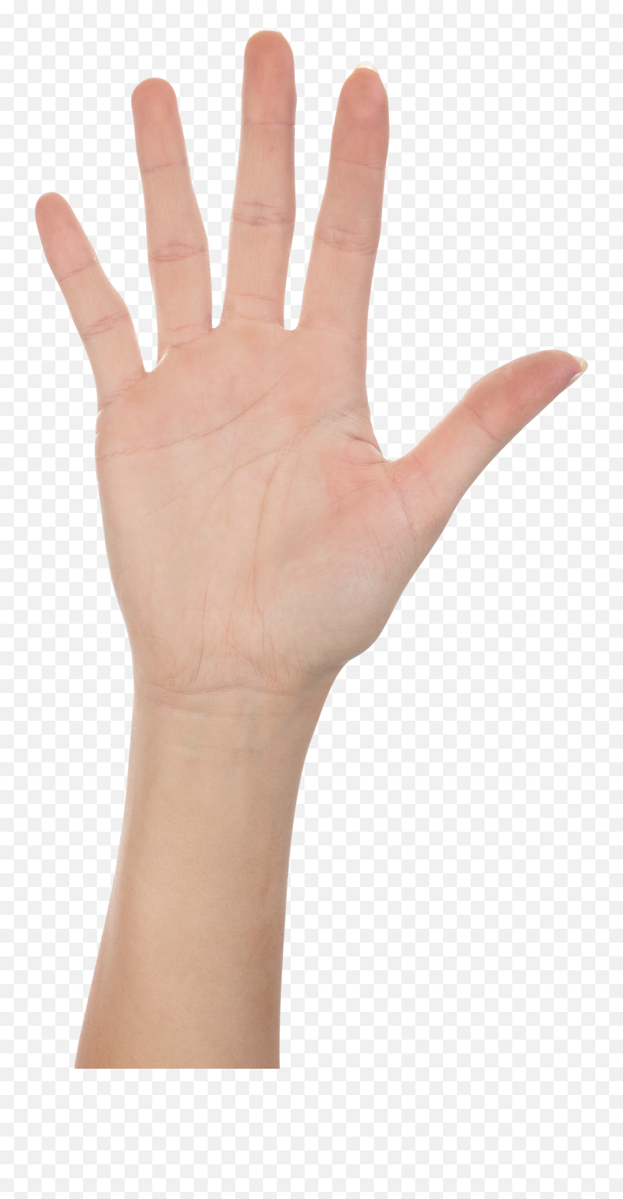 Five Finger Hand Png Image Finger Hands Five Fingers - High Five Hand Png Emoji,Talk To The Hand Emoji