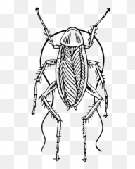 Free Cockroach Pictures Images - Cockroach Clipart Black And White Emoji,Roach Emoji