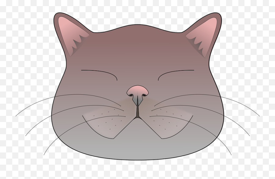 Cat Animals Face - Cartoon Emoji,Kitty Cat Emoji