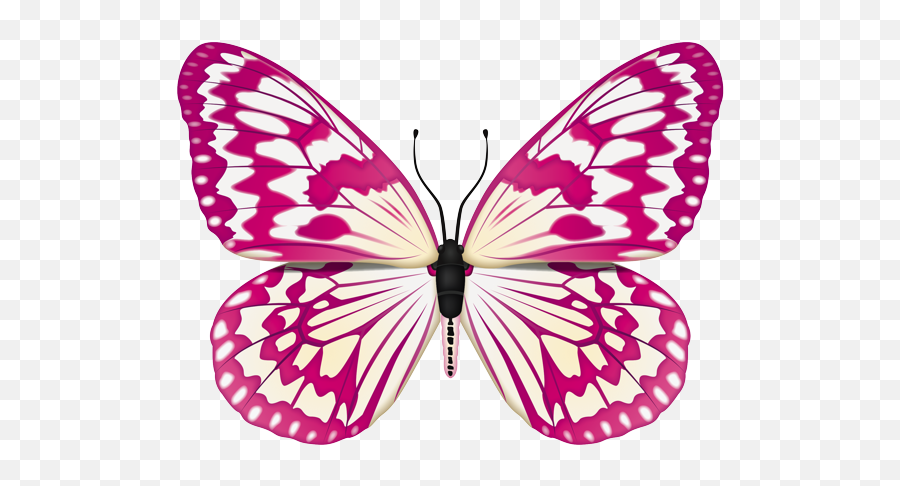 Emoji - White With Black Speckled Butterfly,Butterfly Emoji