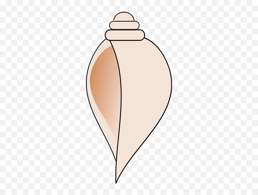 Sea Shell - Sangu Images Download Emoji,Conch Shell Emoji