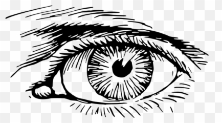 1000 Free Eyes u0026 Cat Vectors - Pixabay Clipart Emoji