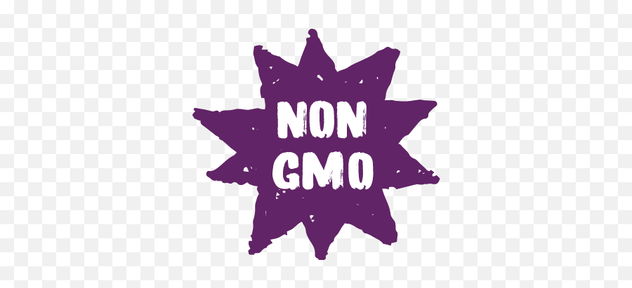 Our Story U2013 Alpha Foods Plant - Based Convenience Illustration Emoji,Pot Of Gold Emoji