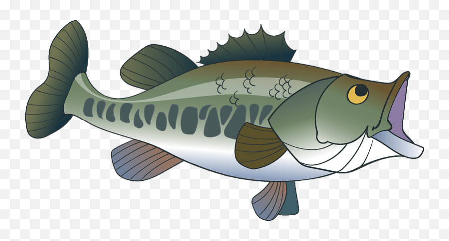 Download Largemouth Bass Clipart - Bass Hd Png Download Bass Emoji,Fish Emoji Transparent