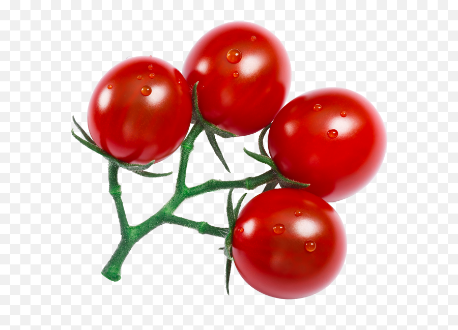 Cherry Tomatoes Transparent Png Image - Transparent Cherry Tomato Png Emoji,Find The Emoji Tomato