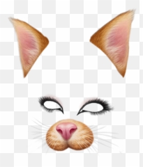 Snapchat Filters Png Pic - Cat Face Emoji