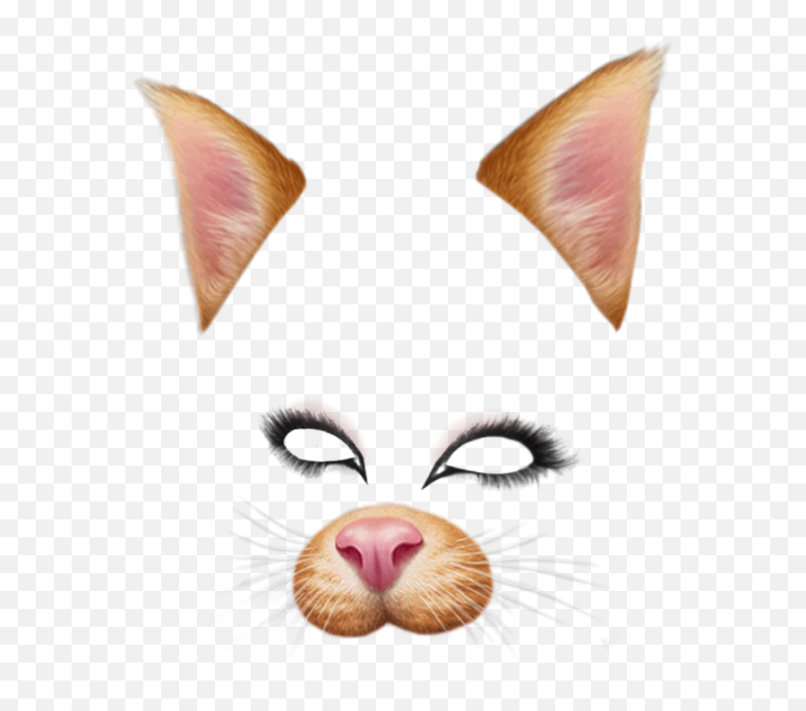 Snapchat Filters Png Pic Png - Snapchat Cat Face Filter Emoji,Emoji Filter