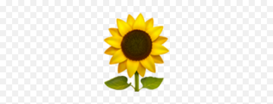 Sunflower Emoji Aesthetic Freetoedit - Transparent Yellow Flower Emoji,Sunflower Emoji