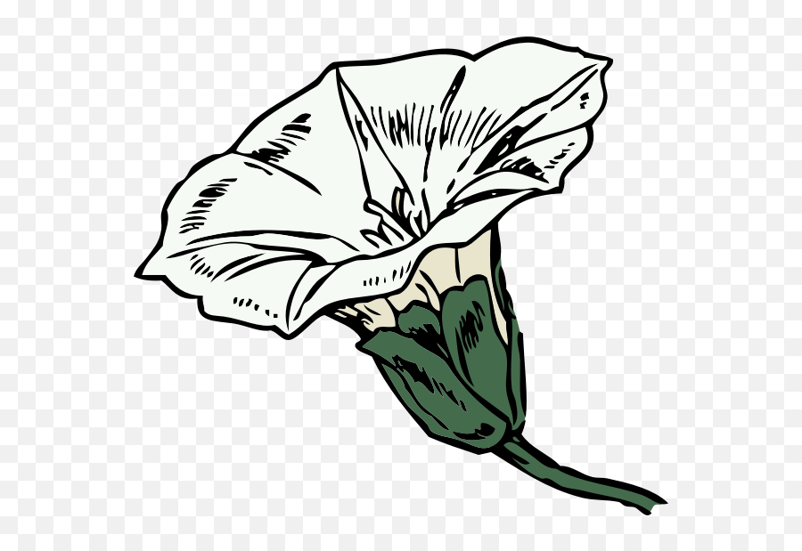 Bindweed - Bindweed Drawing Emoji,Feather Emoticon