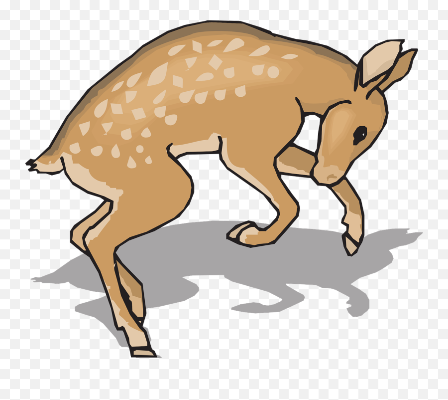 Fawn Animal Deer Nature Wildlife - Gambar Rusa Kartun Hd Emoji,Whitetail Deer Emoji