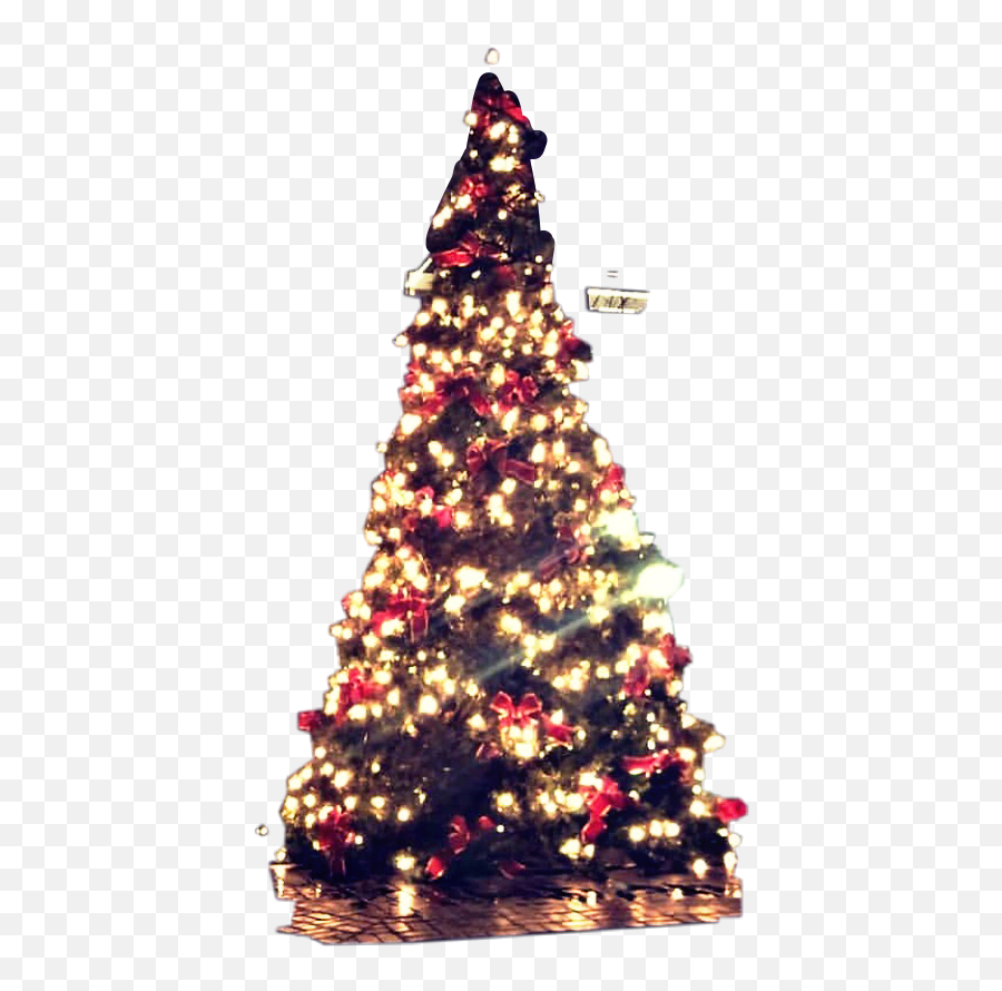 Popular And Trending Xmas - Tree Stickers On Picsart Christmas Tree Emoji,Emoji Xmas Tree