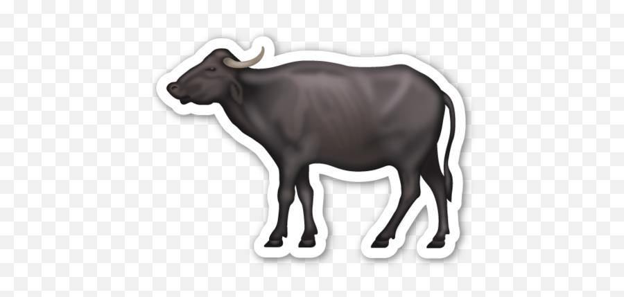 Water Buffalo - Buffalo Png Emoji,Goat Emoji
