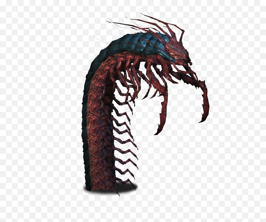 Drawing Insect Centipede Transparent - Witcher Giant Centipede Emoji,Centipede Emoji