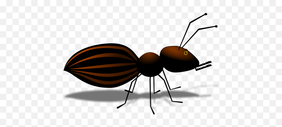 Dibujos Animados De La Hormiga - Cartoon Ant Emoji,Ant Emoticon