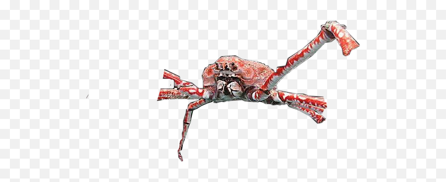 Spidercrab Cursed Sticker Parasitism Emoji Crab Emoji Meme Free Transparent Emoji Emojipng Com