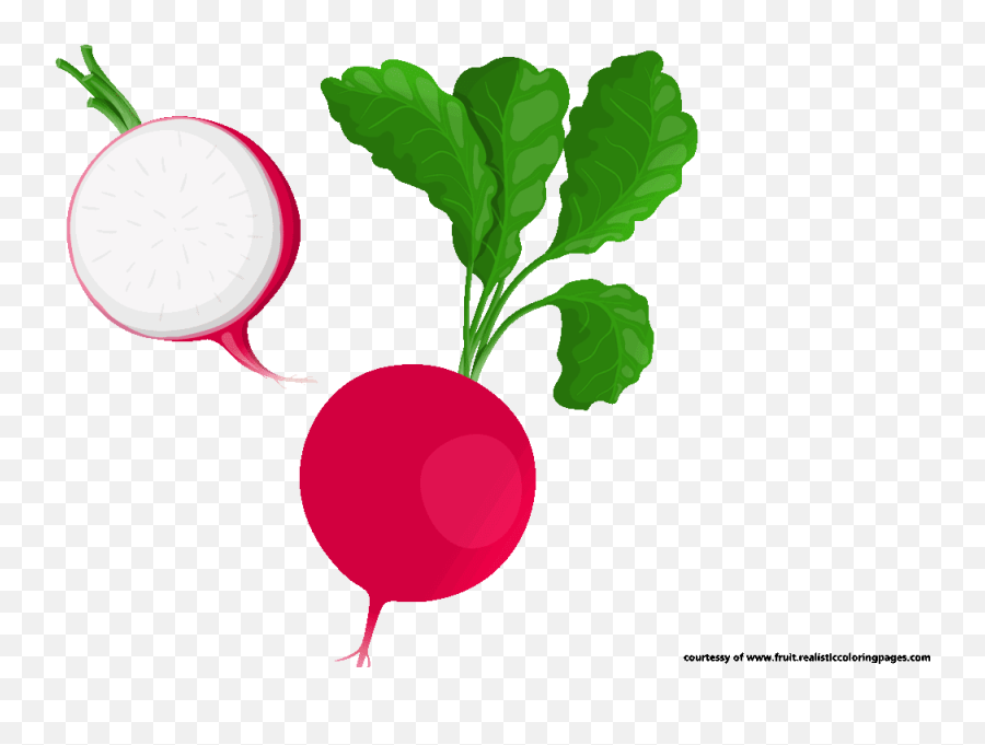 Transparent Radish Clipart - Vegetable Emoji,Radish Emoji