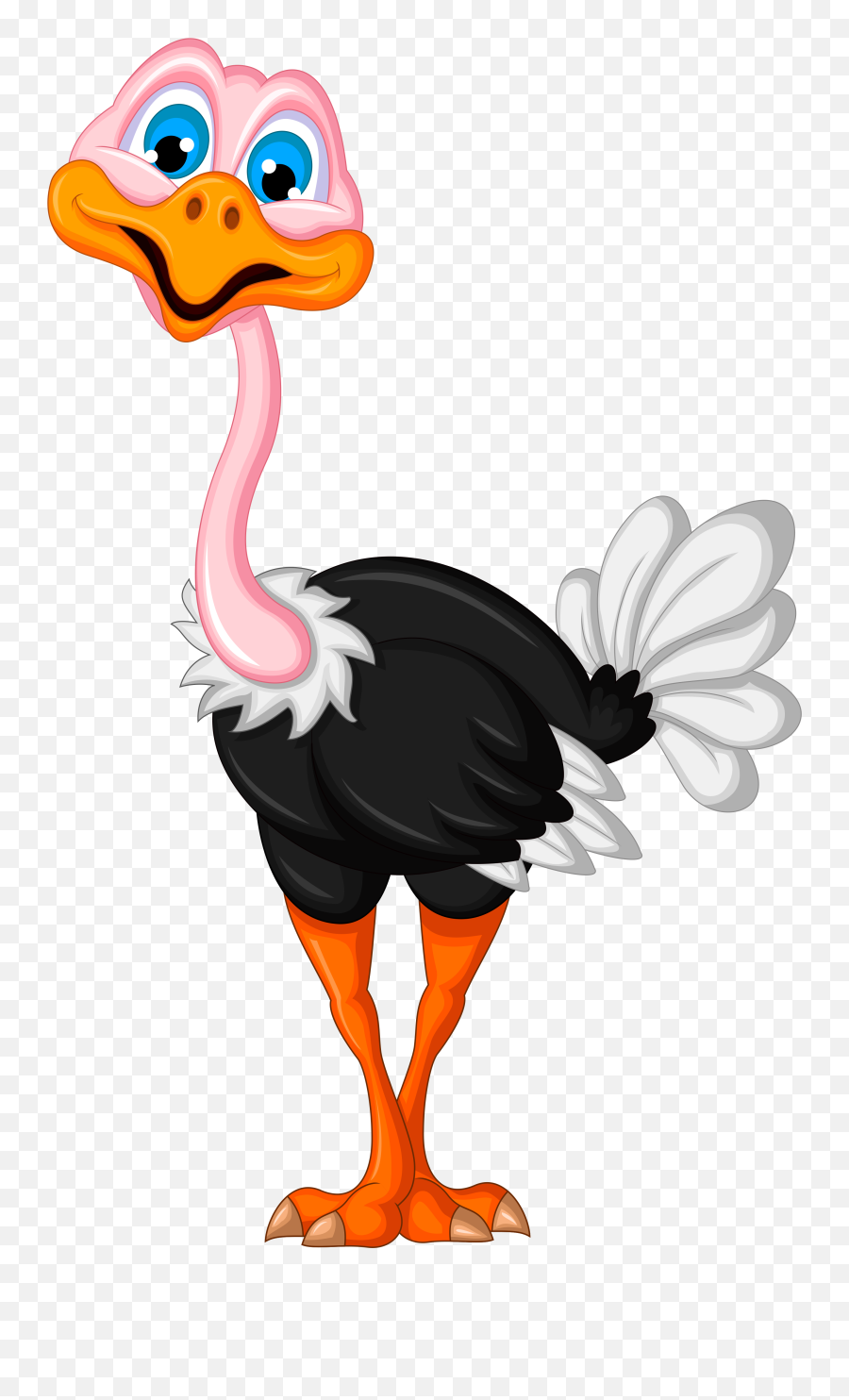 Cartoon Birds - Ostrich Clipart Emoji,Ostrich Emoji