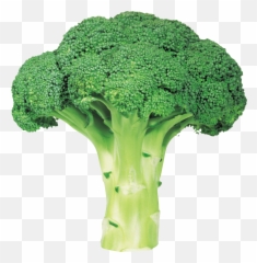 Fork Clipart Broccoli Fork Broccoli - Transparent Background Broccoli Png Emoji,Cauliflower Emoji