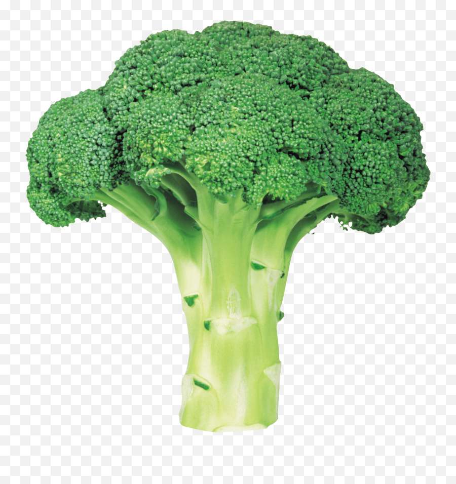 Fork Clipart Broccoli Fork Broccoli - Transparent Background Broccoli Png Emoji,Cauliflower Emoji