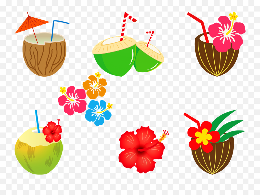 Coconut Cocktail Alcohol Hibiscus - Drink Emoji,Hawaiian Flower Emoji